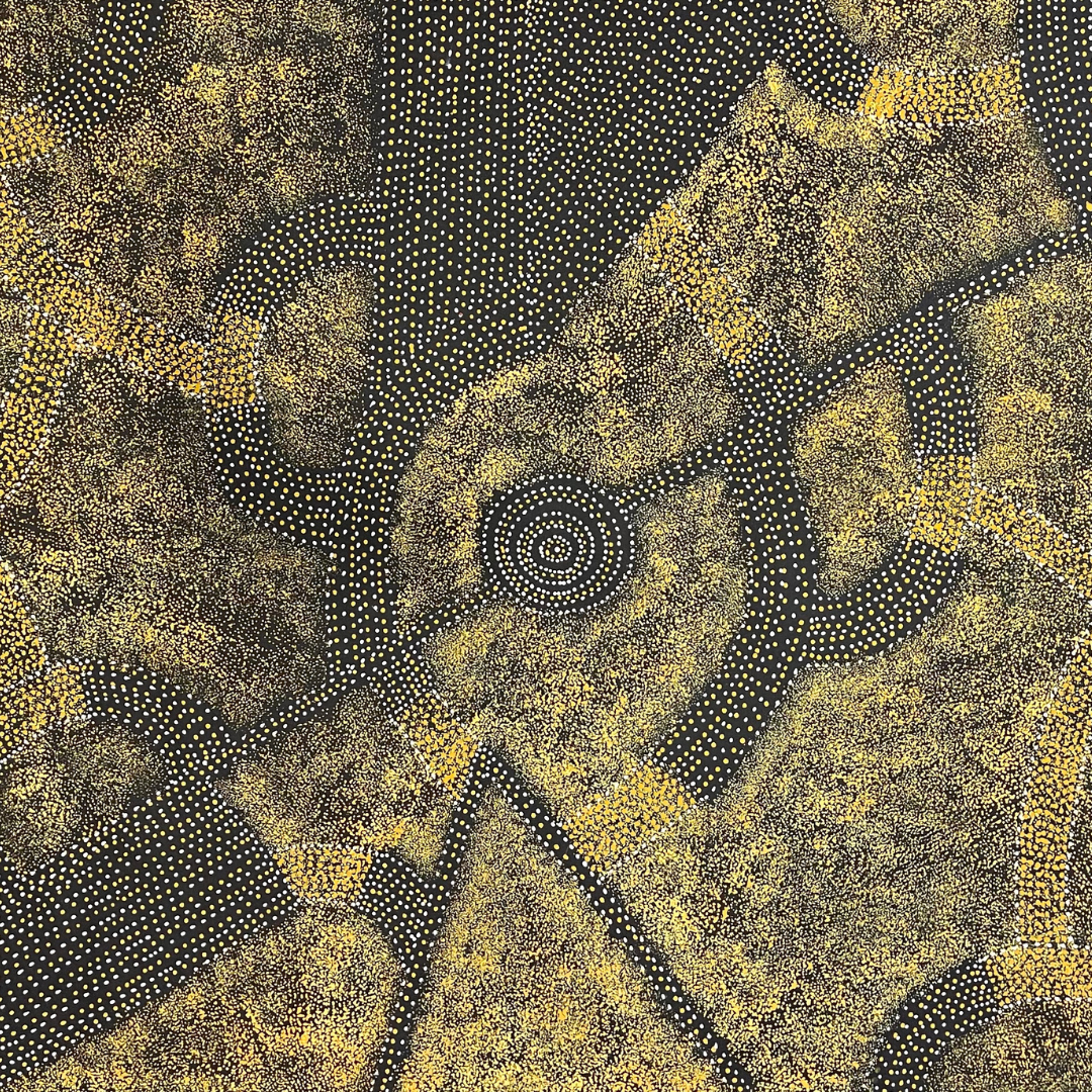Gracie Morton Pwerle, "Bush Plum" 1970 x 1300 Aboriginal Art
