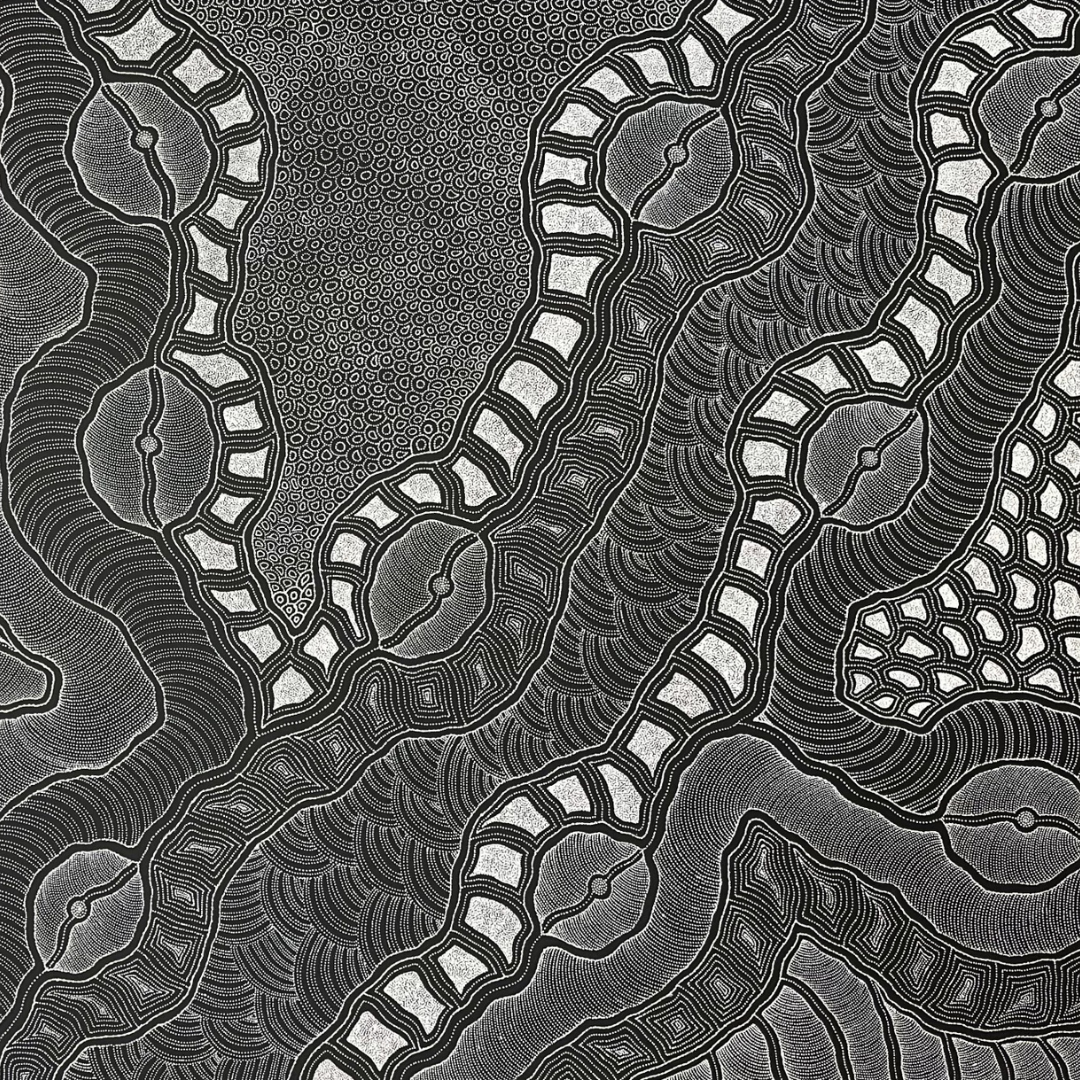 Delvine Pitjara, "My Country", 1980 x 1580, Aboriginal Art