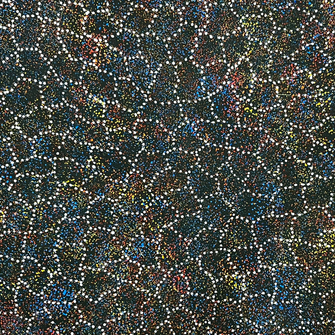 Gracie Morton Pwerle, "Bush Plum" 1992 x 950 Aboriginal Art