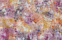 Thumbnail for Belinda Golder Kngwarreye “Bush Plum Dreaming” 1500 x 970 Aboriginal Art