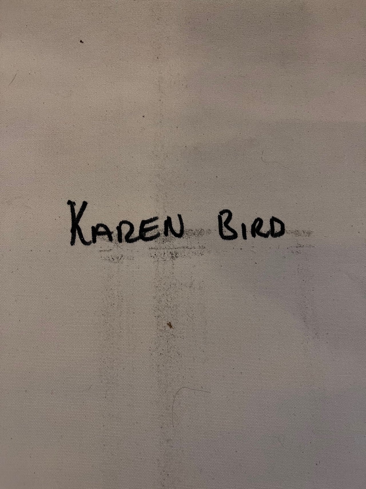 Karen Bird, Aboriginal Art, Indigenous Art, Women's Ceremony, Utopia Art, dreamtime